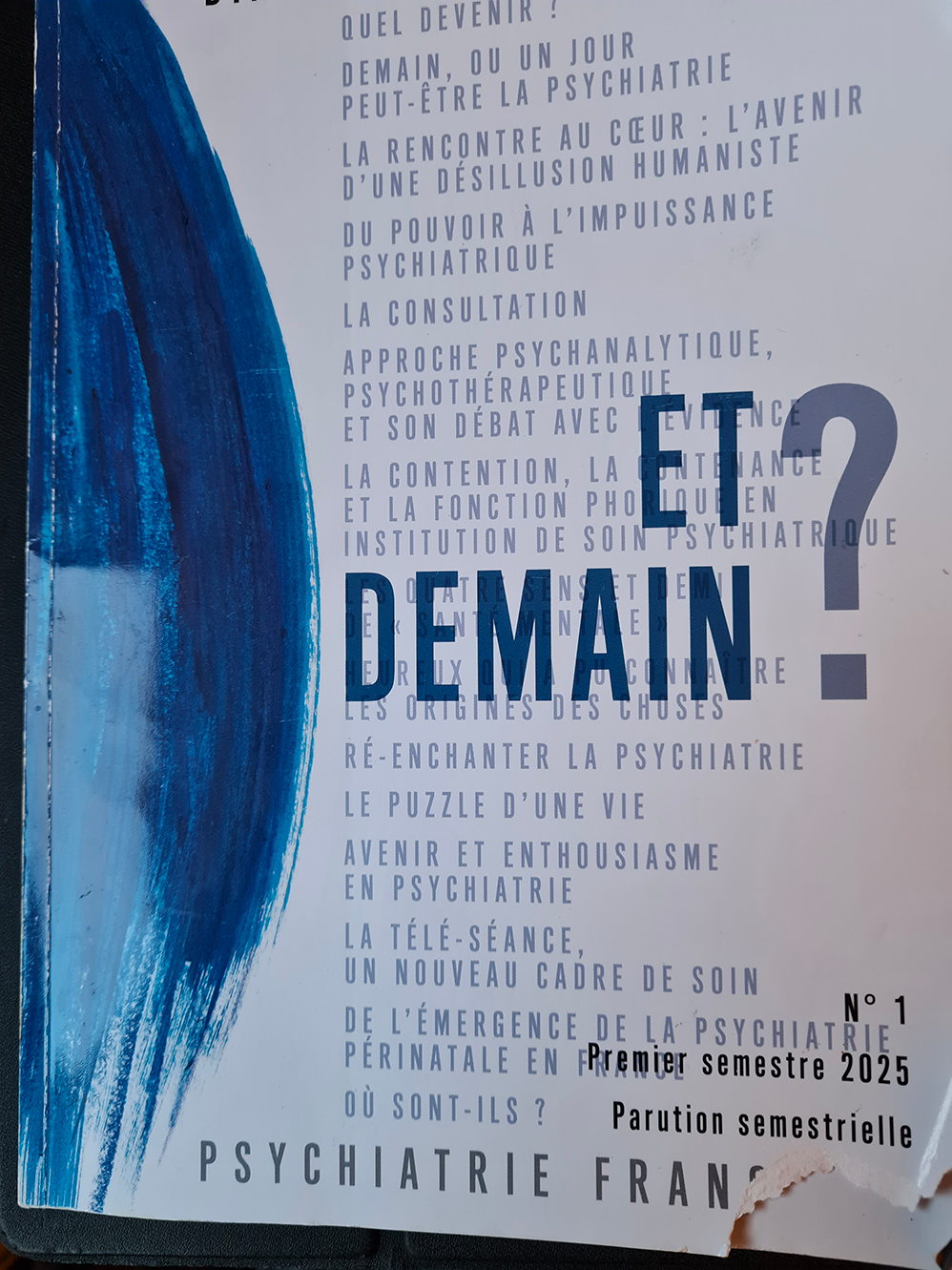 Et demain? Psychiatrie france N°1 premier semestre 2025
